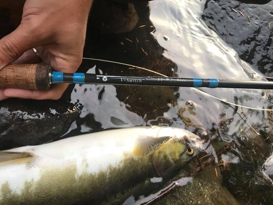 Two-handed Switch Fly Rod