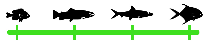 Fish%20species%20range%20fly%20fishing%2