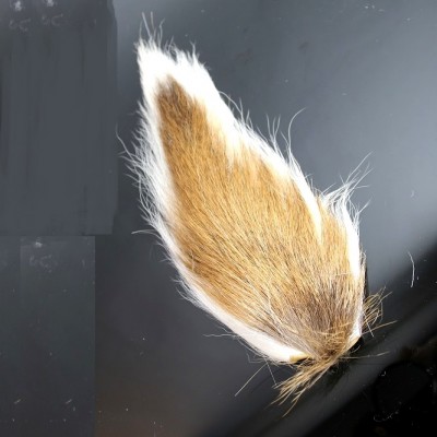 Fly Tying Bucktails