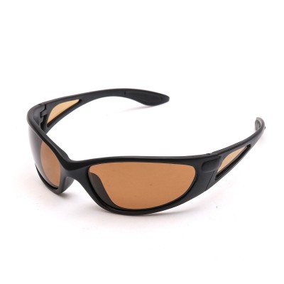 AP1073 Polarized Sunglasses