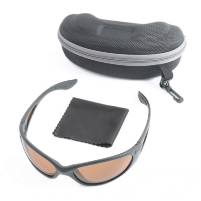 AP1073 Polarized Sunglasses