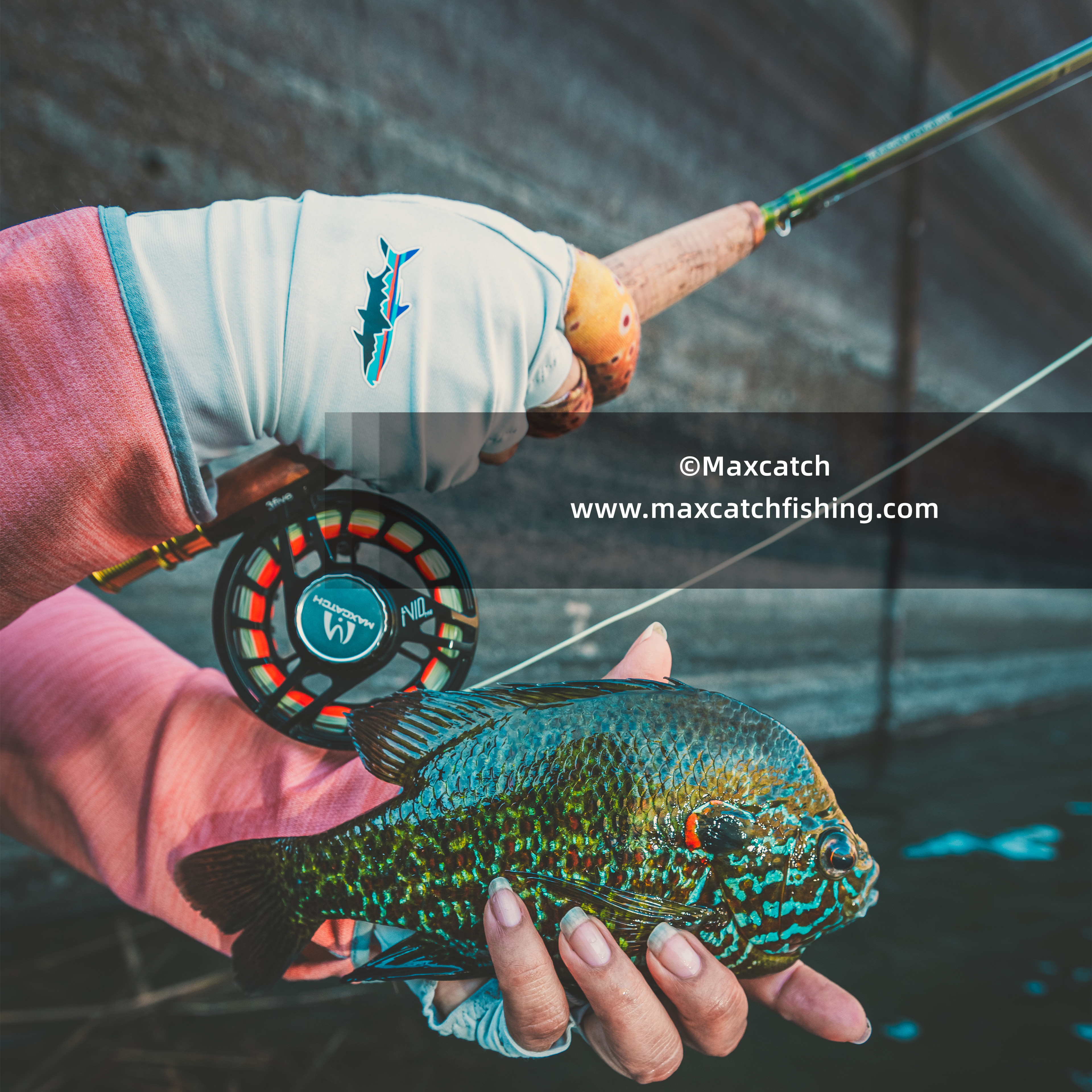 maxcatchfishing Enhance Fly Fishing Experience Since 2005