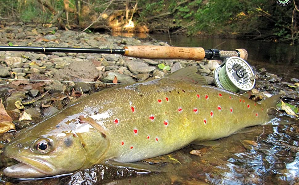 InTouch Competition Nymph Fly Rod